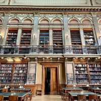 A Nerd’s Paradise: ELTE University in One Unforgettable Day