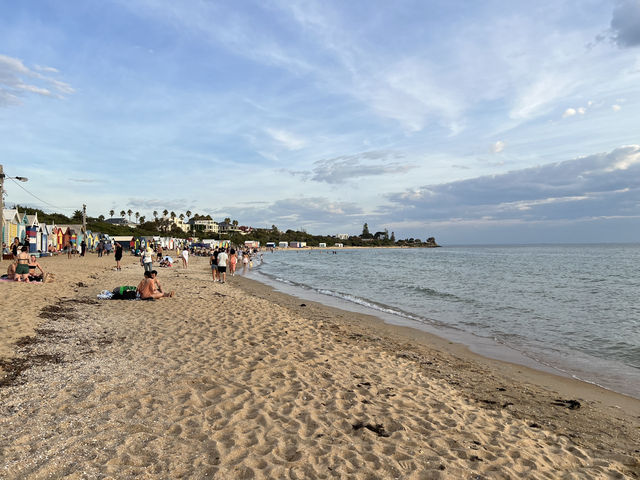 [Brighton Beach Box ]