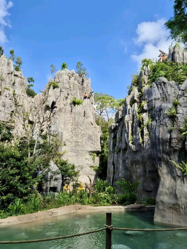 Rainforest Wild Asia – A Hidden Gem for Nature Enthusiasts