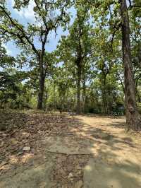 Drive to Twenty Thousand Lake (Bis Hazari Tal), Tikauli, Chitwan: A Wild Encounter