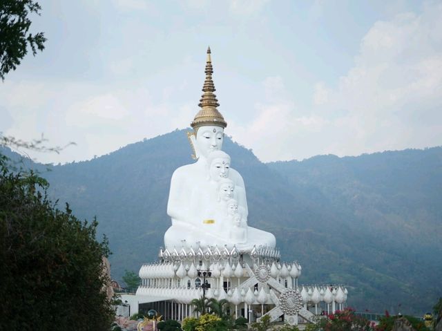ที่เที่ยวอากาศเย็นดอกไม้สวยตลอดปี