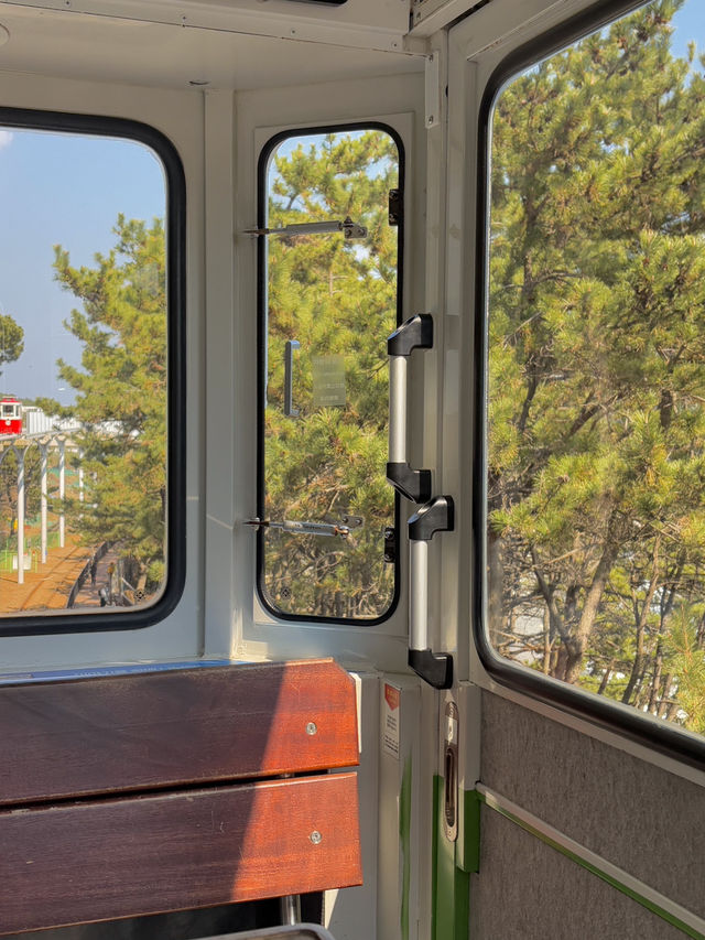 부산에서 꼭 해야할 액티비티 블루라인파크 스카이캡슐 열차🚃