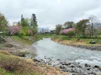 How to Get from Tokyo to Hakuba