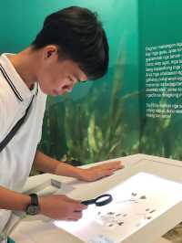 Museum 