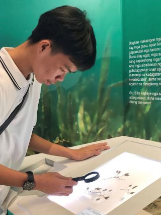 Museum 