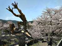 Old Rails & Cherry Blossom Magic