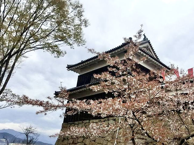 長野縣賞櫻購物ㄧ日遊