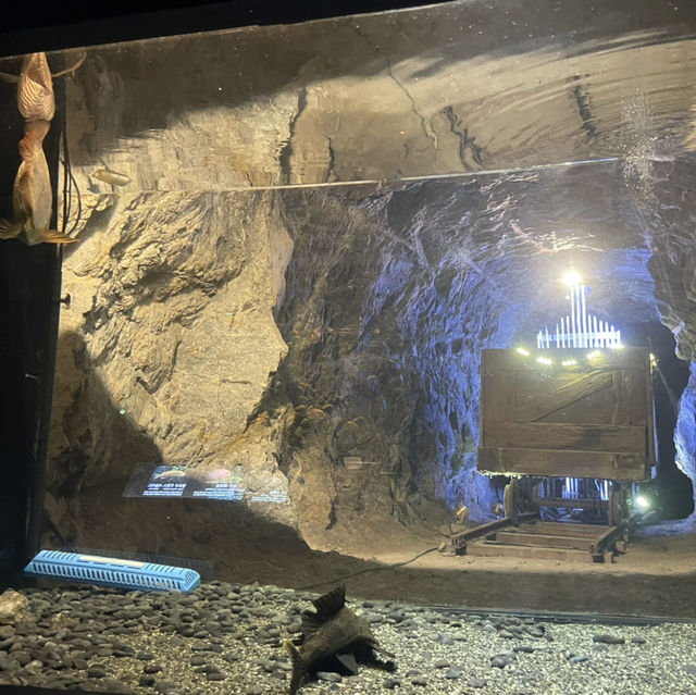 ⛏️ 광명동굴, 실내 데이트의 시원한 명소! 