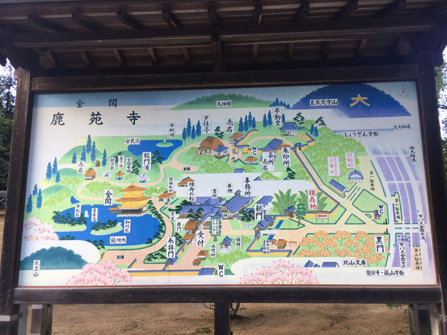 ⛩️ 京都金閣寺｜閃耀金光的夢幻世界遺產 