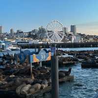 🌉✨ *"Golden Gate Getaway: A Vibrant Weekend Escape in San Francisco’s Heart!"* 🍷🌁