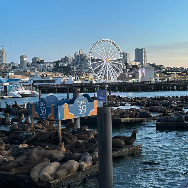 🌉✨ *"Golden Gate Getaway: A Vibrant Weekend Escape in San Francisco’s Heart!"* 🍷🌁