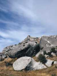 ขับรถเที่ยวเกาะใต้นิวซีแลนด์ - Castle Hill