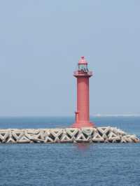 Jeju Island | 3D2N Itinerary – All by Public Transport + Shopping