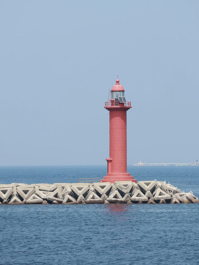 Jeju Island | 3D2N Itinerary – All by Public Transport + Shopping