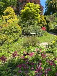 Fletcher Moss Botaical Gardens