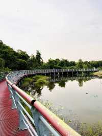 Tranquil Escape at Taman Tasik Cyberjaya