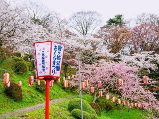 Cherry Blossoms Meet Castle
