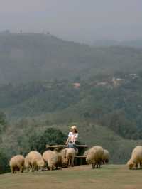Hidden Gem in Chiang Rai