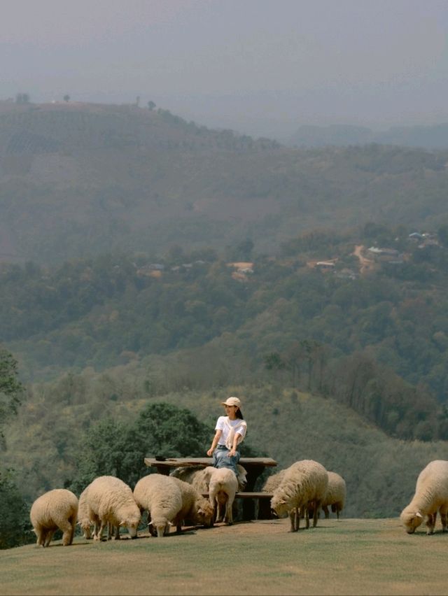 Hidden Gem in Chiang Rai