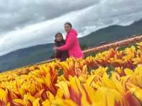 Our Abbotsford Tulip Escape: A Burst of Color
