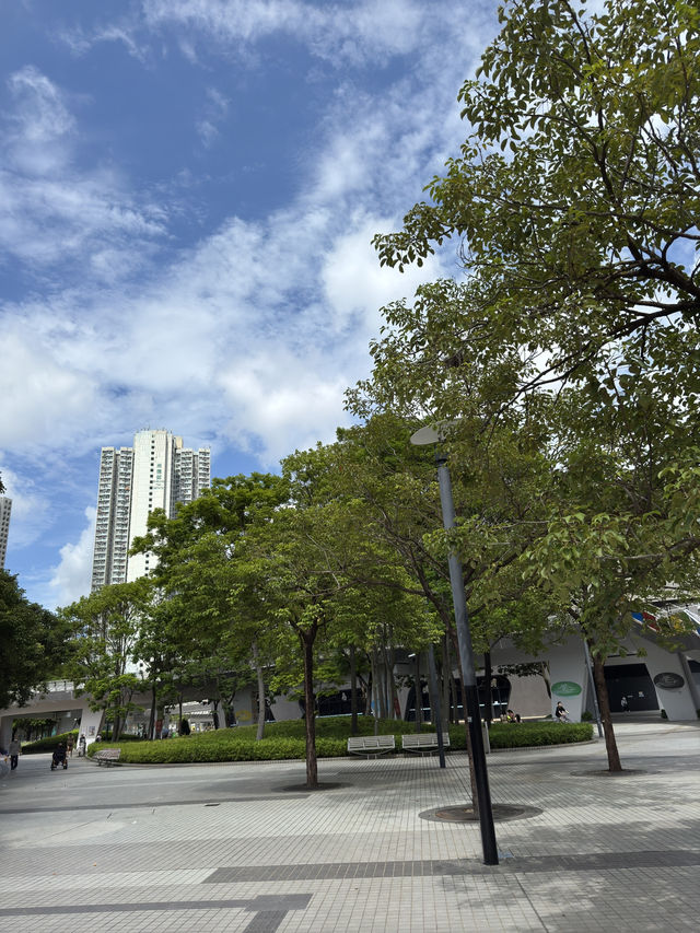 香港｜坑口文曲里公園｜香港深度遊的中式靜謐角落
