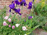 Romance in Bloom: A Day at Sissinghurst Castle Garden, Kent