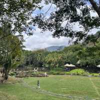 Immersed in Nature: Exploring Yanoda Rainforest in Hainan 