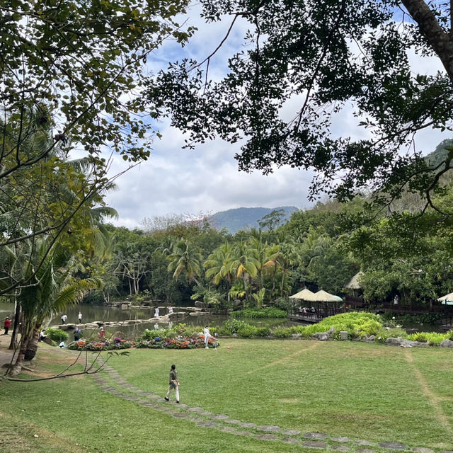 Immersed in Nature: Exploring Yanoda Rainforest in Hainan 