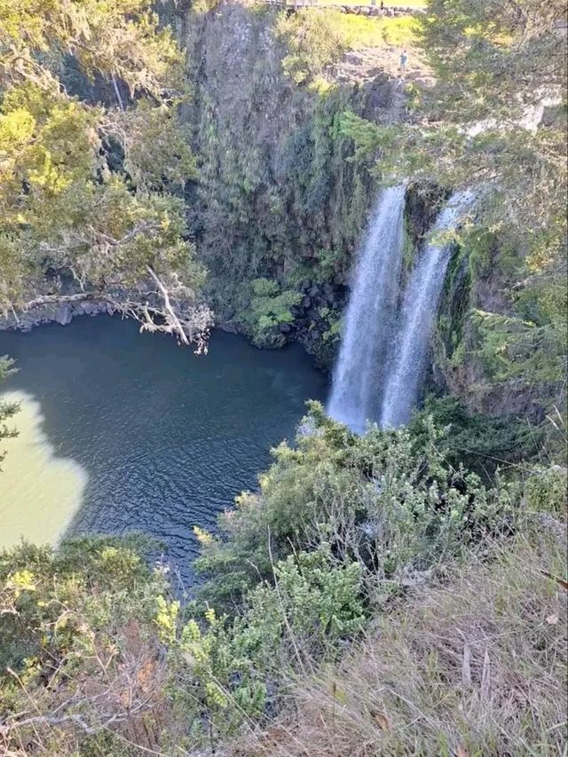 Whangārei – Where Waterfalls and Wilderness Meet