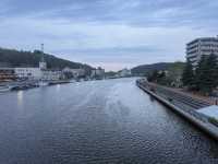 Shibazakura Viewing