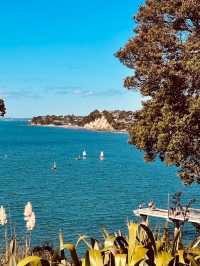 奧克蘭 Murrays Bay｜Churchill Reserve 海邊步道輕散策