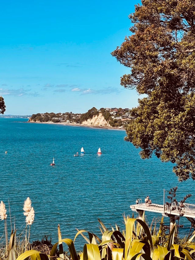 奧克蘭 Murrays Bay｜Churchill Reserve 海邊步道輕散策