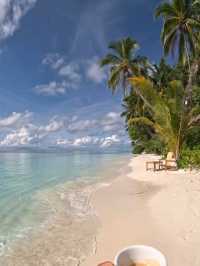 🌴 Cocoon Maldives: Where Italian Elegance Meets Island Bliss 🌊