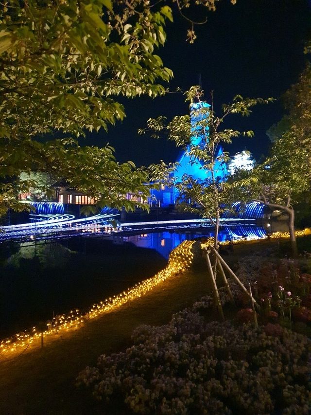 일본에서 빛나는 꽃구경🌷