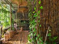 Sloth Suanphueng