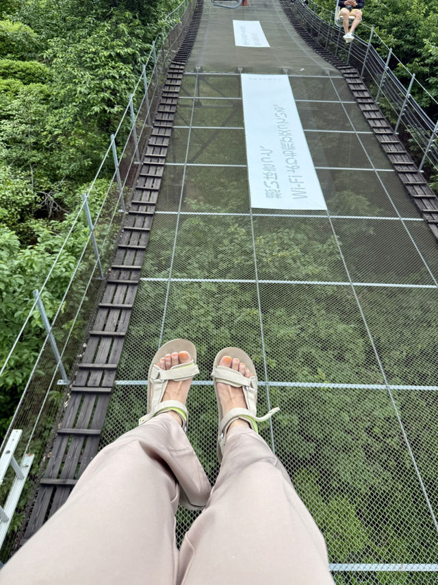 Riding Up to History – A Lift Adventure to Matsuyama Castle