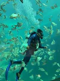 ไปดูปลากันที่ พิพิธภัณฑ์สัตว์น้ำจังหวัดหนองคาย 🐠