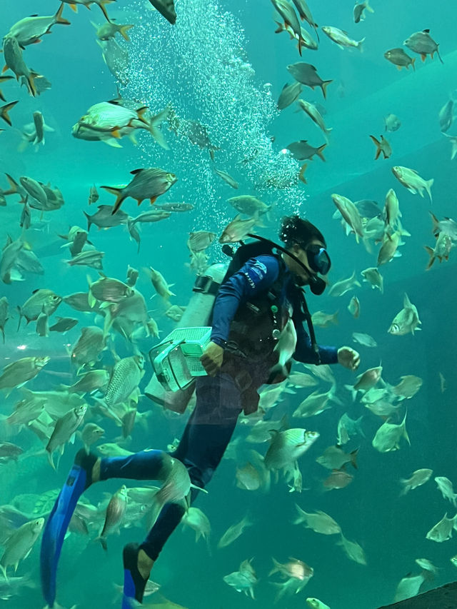 ไปดูปลากันที่ พิพิธภัณฑ์สัตว์น้ำจังหวัดหนองคาย 🐠