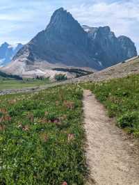 The Great Divide Trail – Canada 