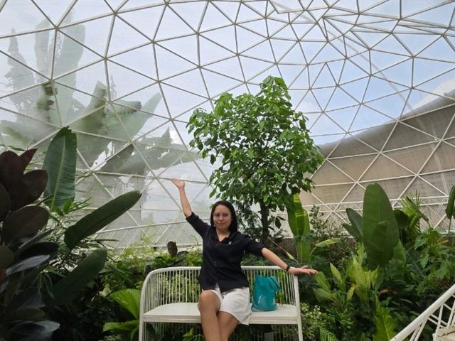 รีวิวคาเฟ่นานาชาติ กาฬสินธุ์ จิบกาแฟแลธรรมชาติ