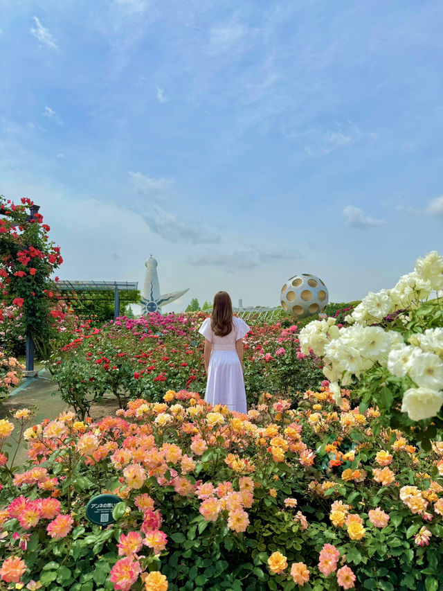 大阪 ︎❤︎2,400株が咲き誇る🌹🌹🌹260円で見れる絶景〜♡ 
