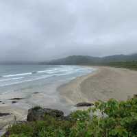 Tosashimizu: Where the Ocean Meets Untamed Beauty