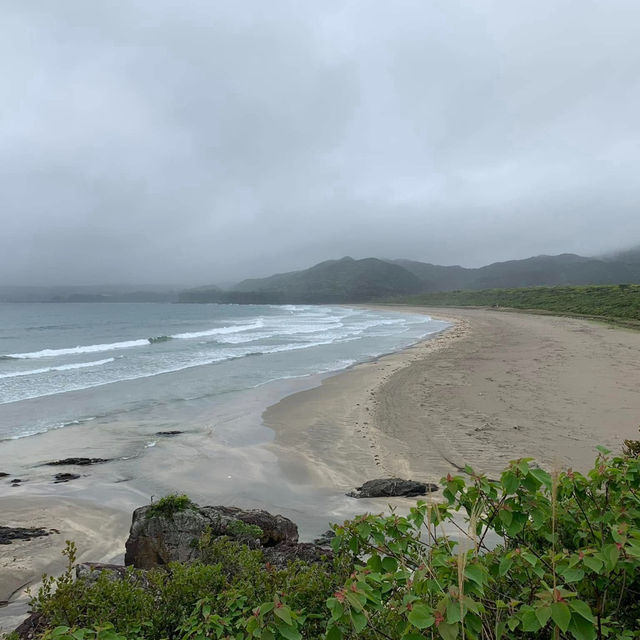 Tosashimizu: Where the Ocean Meets Untamed Beauty