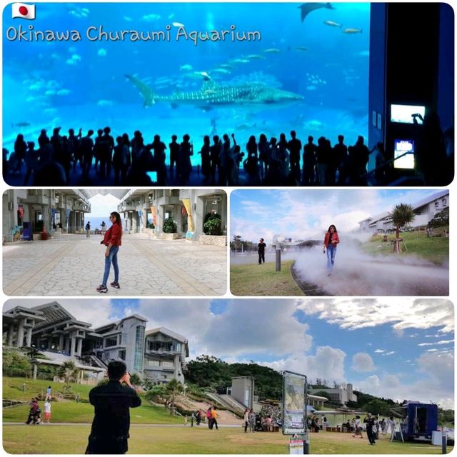 okinawa  ทริปเที่ยวเกาะ tokashiki ชิลๆ 