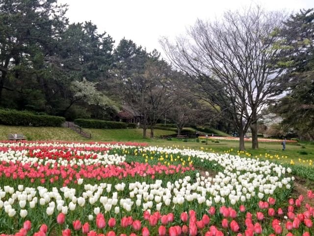 Terao Central Park, Your New Favorite Chill Spot