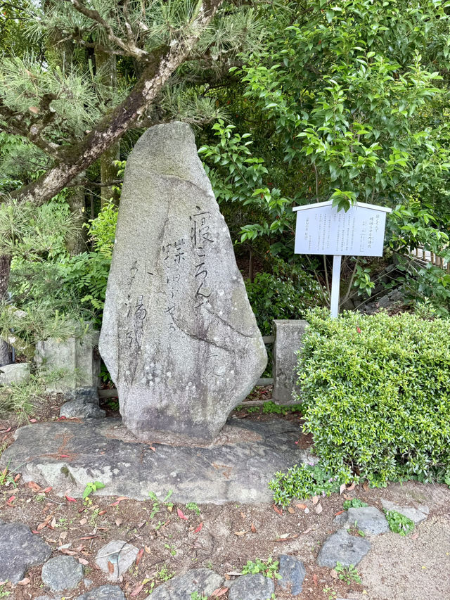 Art & Café Hopping in Dogo – Glass, Gardens & Great Views