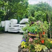 Seoul Forest Park: A Green Escape in the City
