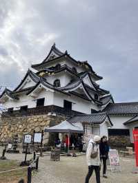 彦根城へ行って、ひこにゃんに会ってきた！