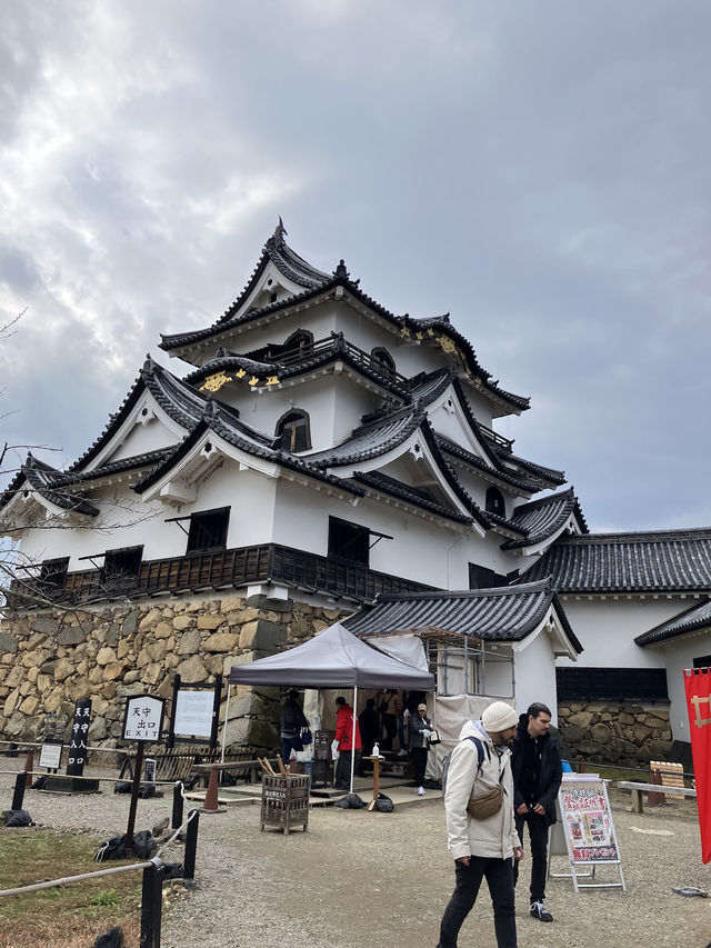 彦根城へ行って、ひこにゃんに会ってきた！