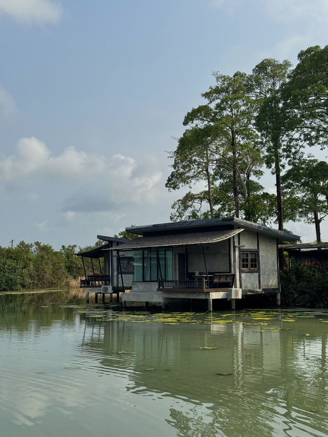 บ้านปู รีสอร์ท ที่พักติดป่าชายเลน ตราด 💚🌳🍃